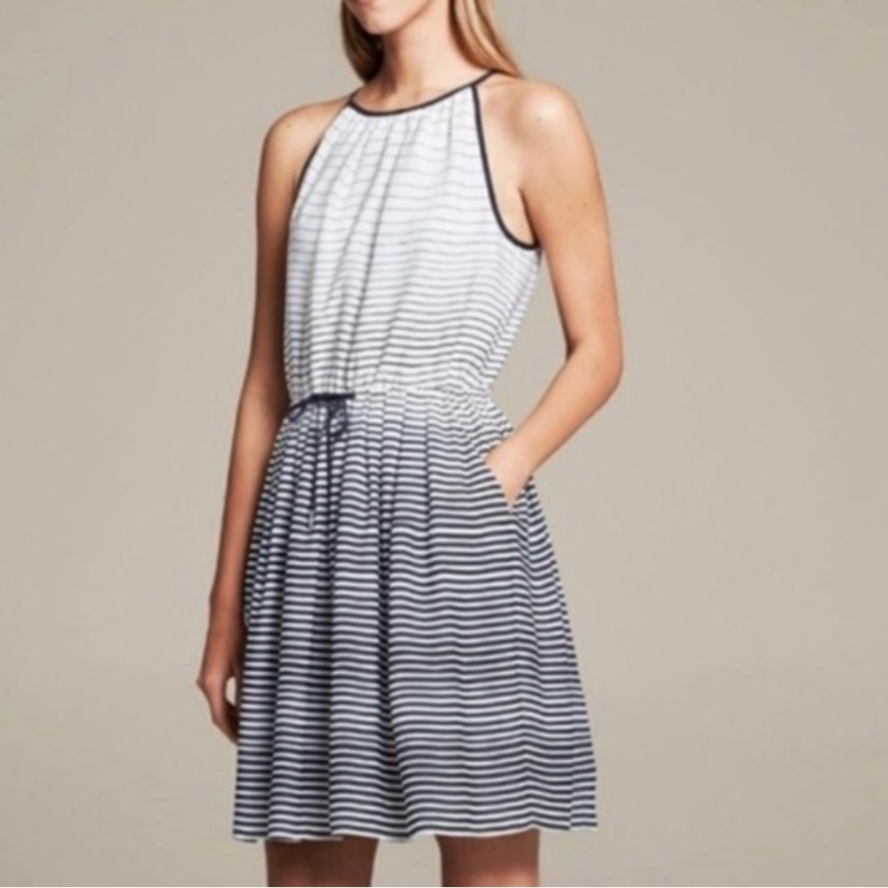 Banana Republic Ombre Striped 10P Dress
